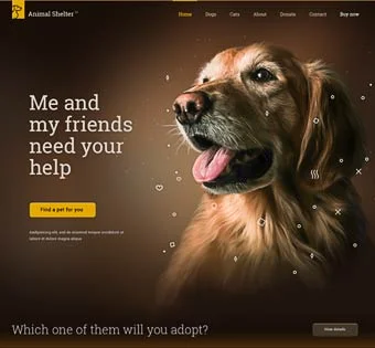 Animal Shelter