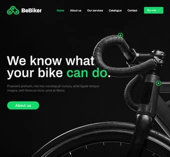 Biker 3