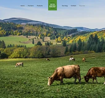 Eco Beef