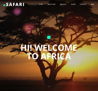 Safari
