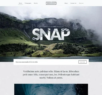 Snapshot