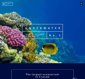 Underwater