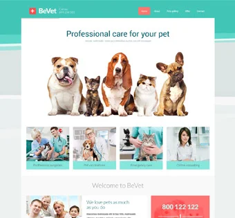 Vet