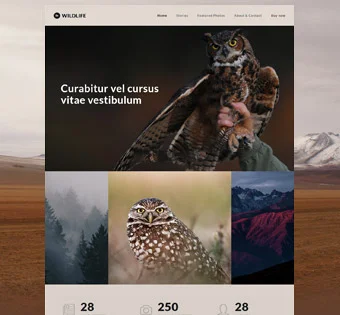 Wildlife